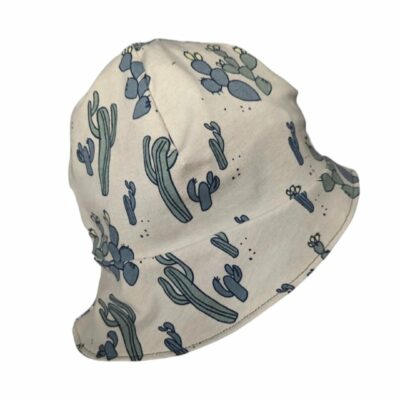 Sonnenhut Kaktus 2-5 Jahre