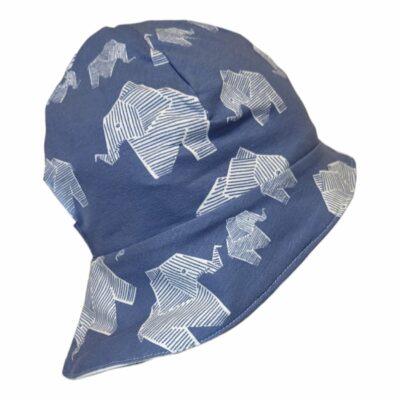 Sonnenhut Elefant 1-2 Jahre