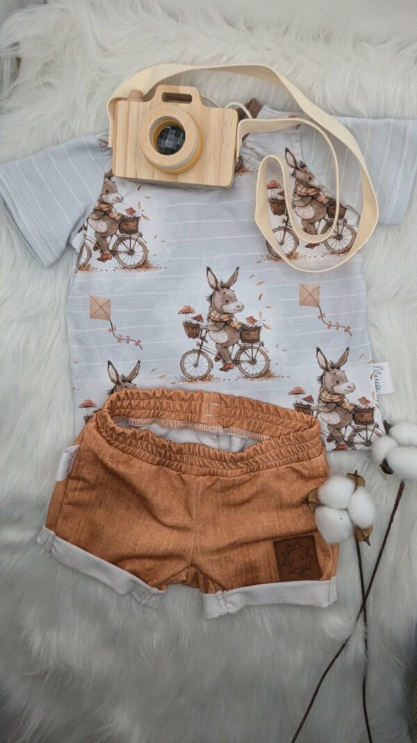 Set Esel Gr. 80